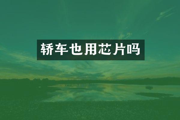 轿车也用芯片吗
