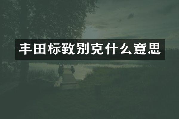 丰田标致别克什么意思