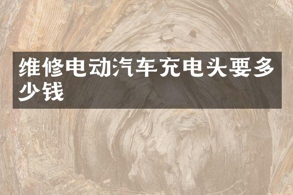 维修电动汽车充电头要多少钱