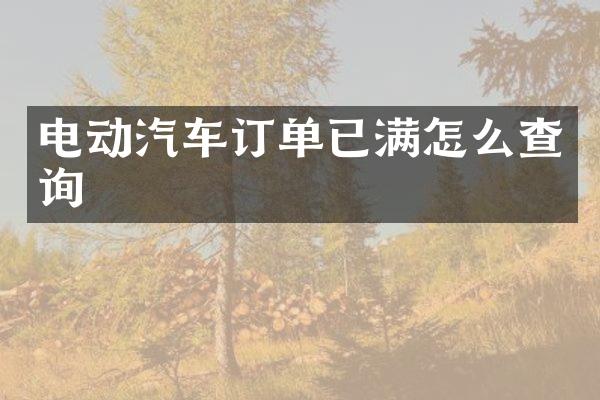 电动汽车订单已满怎么查询