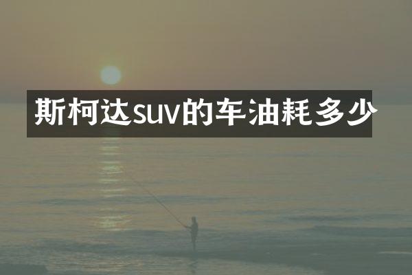 斯柯达suv的车油耗多少
