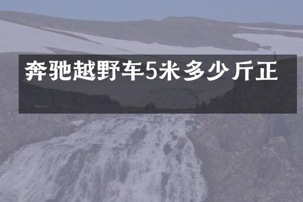 奔驰越野车5米多少斤正常