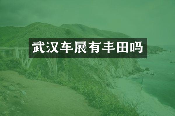 武汉车展有丰田吗