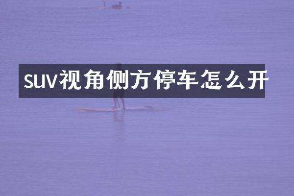 suv视角侧方停车怎么开