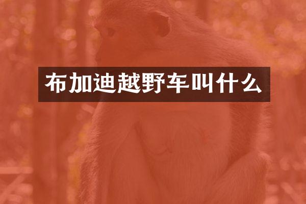 布加迪越野车叫什么