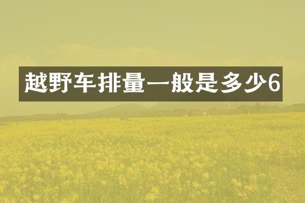 越野车排量一般是多少6