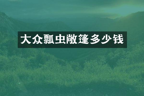 大众瓢虫敞篷多少钱