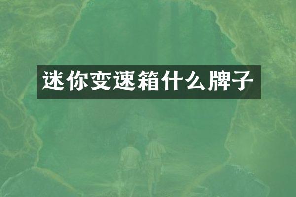 迷你变速箱什么牌子