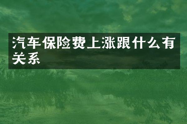 汽车保险费上涨跟什么有关系