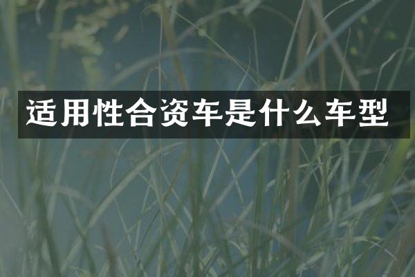 适用性合资车是什么车型
