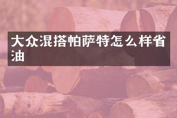 大众混搭帕萨特怎么样省油