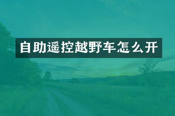 自助遥控越野车怎么开