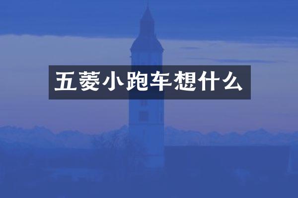五菱小跑车想什么