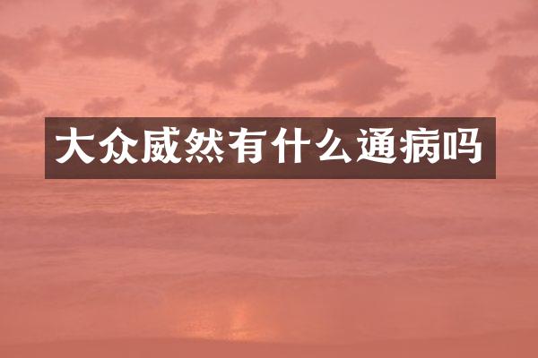 大众威然有什么通病吗