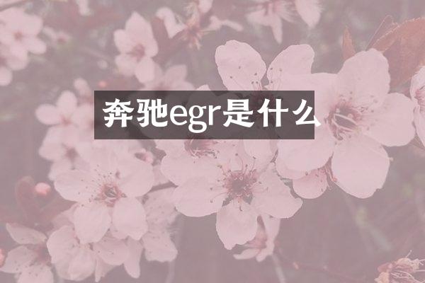 奔驰egr是什么