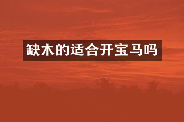 缺木的适合开宝马吗