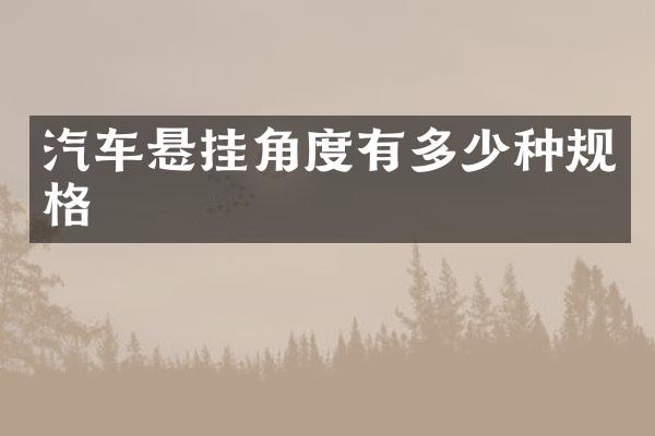 汽车悬挂角度有多少种规格