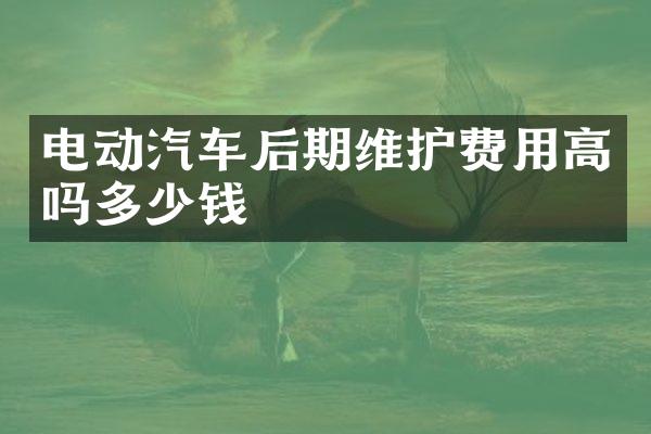 电动汽车后期维护费用高吗多少钱