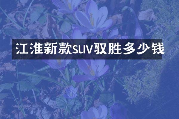 江淮新款suv驭胜多少钱