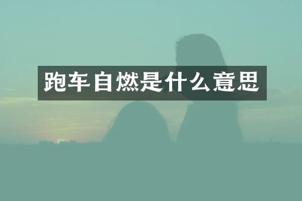 跑车自燃是什么意思