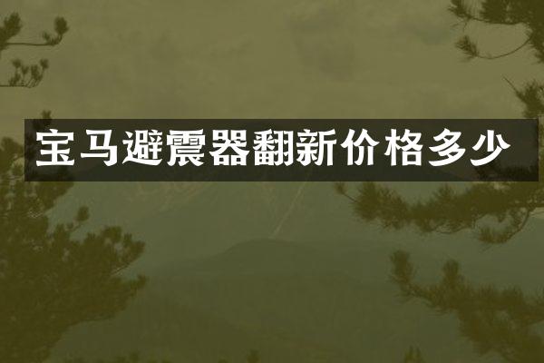 宝马避震器翻新价格多少