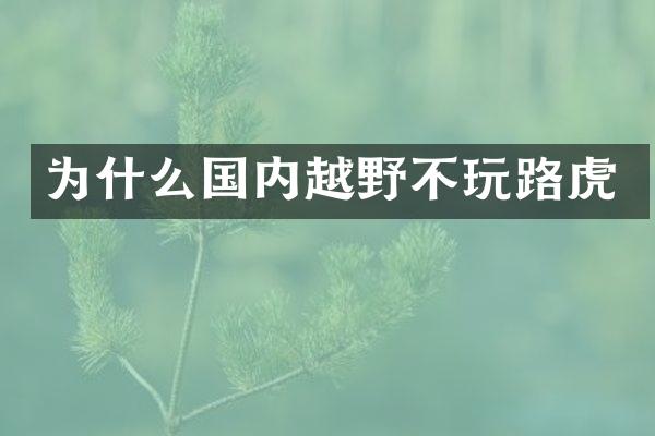 为什么国内越野不玩路虎