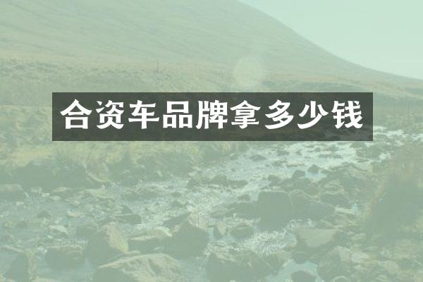 合资车品牌拿多少钱