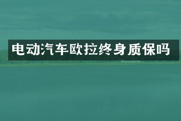 电动汽车欧拉终身质保吗