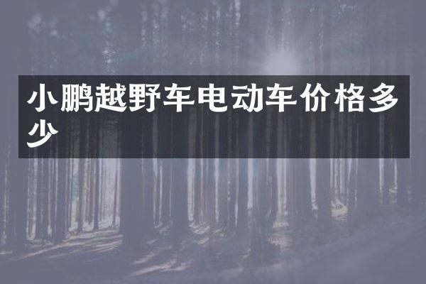 小鹏越野车电动车价格多少