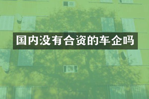 国内没有合资的车企吗