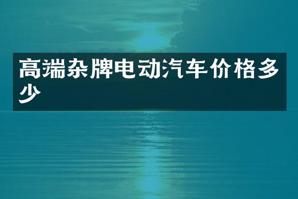 高端杂牌电动汽车价格多少