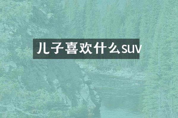 儿子喜欢什么suv