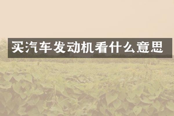 买汽车发动机看什么意思