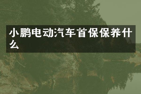 小鹏电动汽车首保保养什么