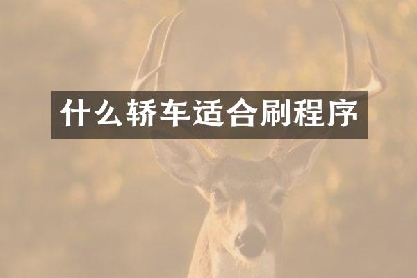 什么轿车适合刷程序