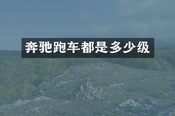 奔驰跑车都是多少级