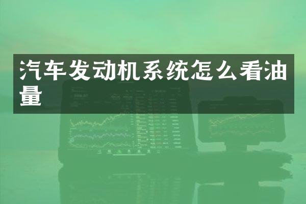 汽车发动机系统怎么看油量