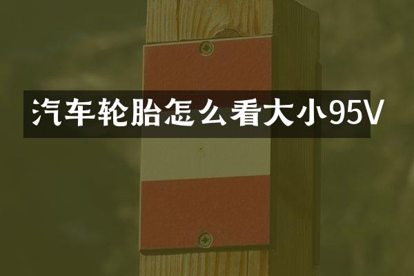 汽车轮胎怎么看大小95V