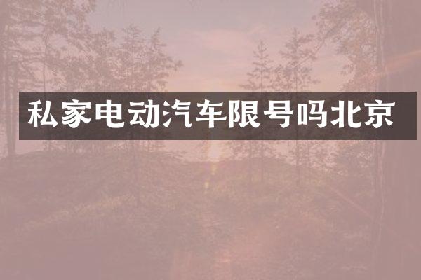 私家电动汽车限号吗北京