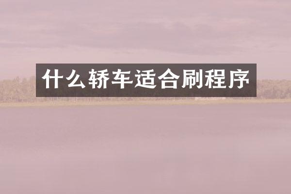 什么轿车适合刷程序