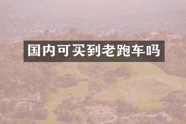 国内可买到老跑车吗