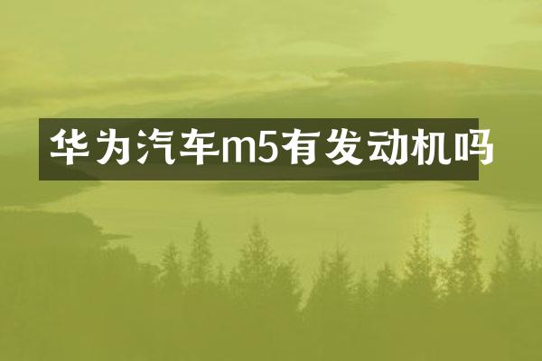 华为汽车m5有发动机吗