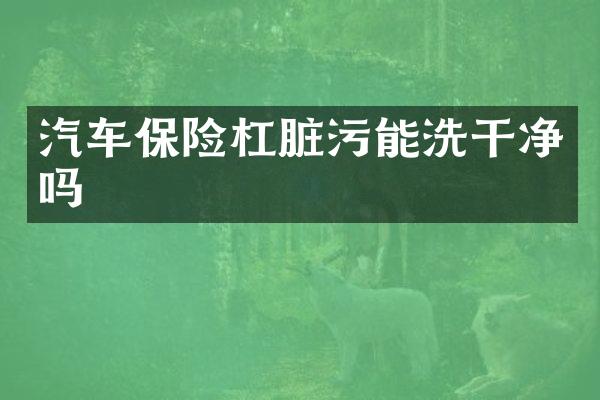 汽车保险杠脏污能洗干净吗