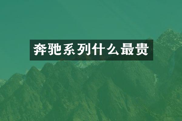 奔驰系列什么最贵