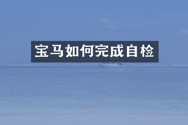 宝马如何完成自检