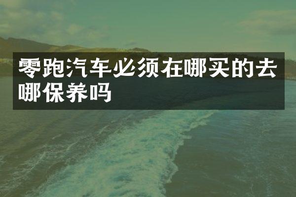 零跑汽车必须在哪买的去哪保养吗