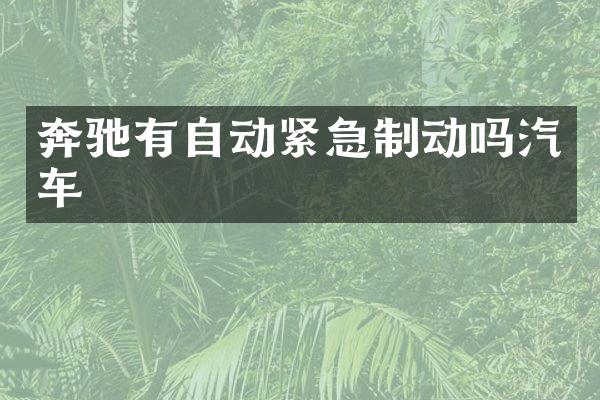 奔驰有自动紧急制动吗汽车