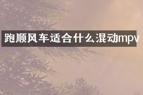 跑顺风车适合什么混动mpv