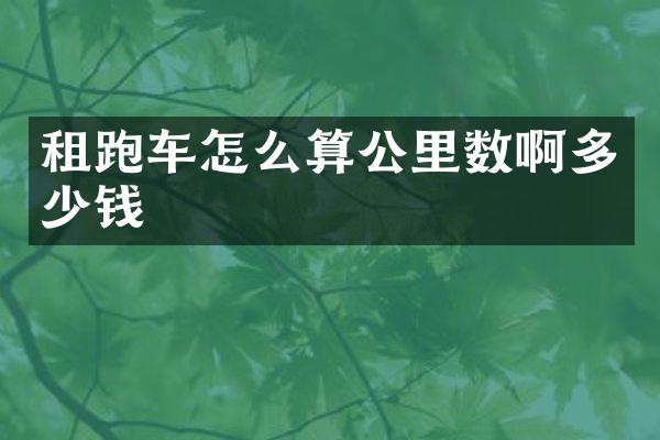 租跑车怎么算公里数啊多少钱