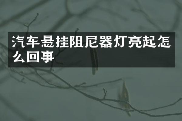 汽车悬挂阻尼器灯亮起怎么回事